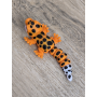 Figurka Gekona z językiem 3d - Druk3d fidget mixGadzet