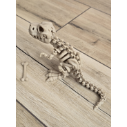 Fantastyczny Szkielet T-Rexa 25cm - 3D Kolekcjonerski Model