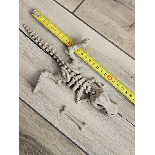 Fantastyczny Szkielet T-Rexa 25cm - 3D Kolekcjonerski Model