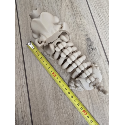 Figurka Szkielet Jamnika (18cm) + Gratisowa Kość! 3d - Brelok Druk3d fidget