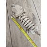 Figurka Szkielet Jamnika (18cm) + Gratisowa Kość! 3d - Brelok Druk3d fidget