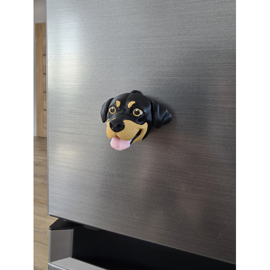Uroczy Rottweiler Brelok i Magnes na Lodówkę 2w1 3D - Druk3d Keychain