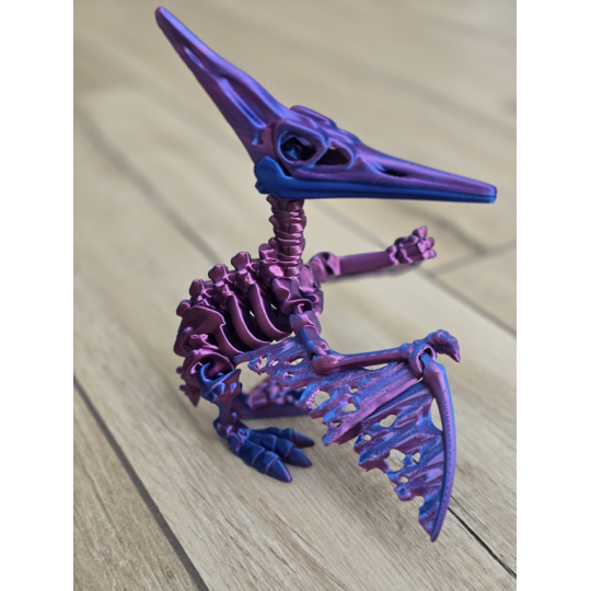 Imponujący Szkielet Pteranodona - Kolekcjonerski Model - Dwukolorowy Druk3D