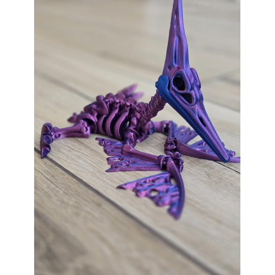 Imponujący Szkielet Pteranodona - Kolekcjonerski Model - Dwukolorowy Druk3D