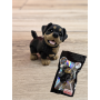 Breloczek Mały Rottweiler 3D - Brelok Druk3d fidget Keychain mixGadzet