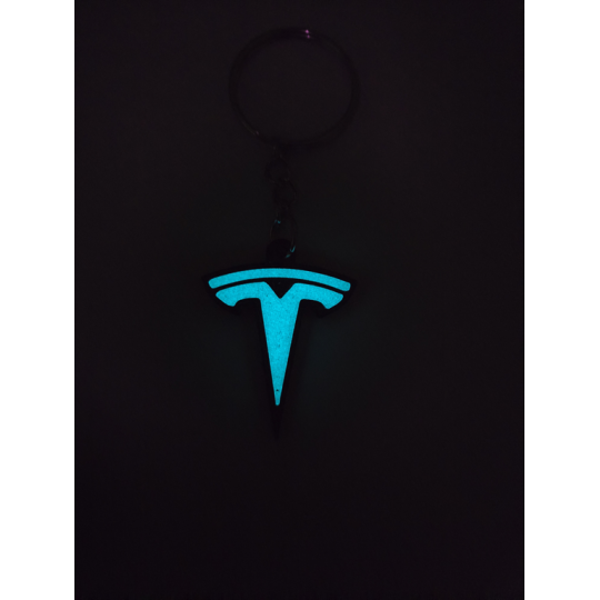 Breloczek Tesla - Świeci w Nocy! 3d - Druk3d fidget Keychain mixGadzet