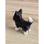 Figurka Husky z kolorowymi Oczami 3D - Druk3d fidget mixGadzet