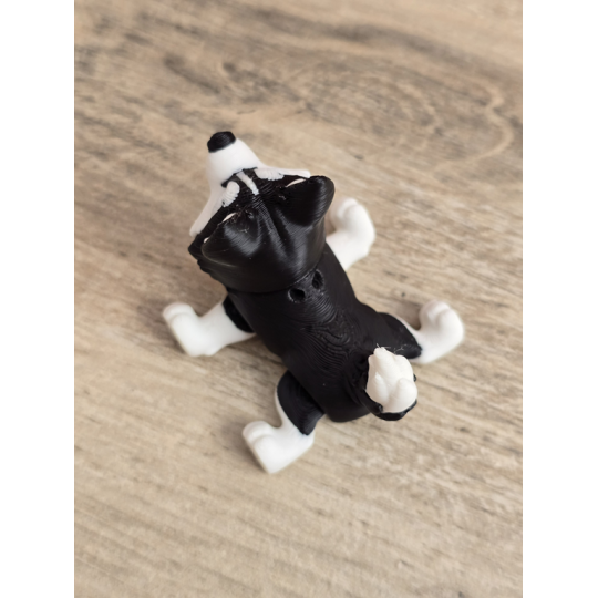 Figurka Husky z kolorowymi Oczami 3D - Druk3d fidget mixGadzet