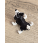 Figurka Husky z kolorowymi Oczami 3D - Druk3d fidget mixGadzet