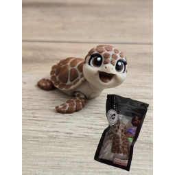 Figurka Żółwia 3D - Druk3d fidget mixGadzet