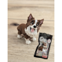 Figurka Psa Border Collie 3D - Druk3d fidget mixGadzet