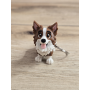 Breloczek Psa Border Collie 3D - Brelok Druk3d fidget Keychain