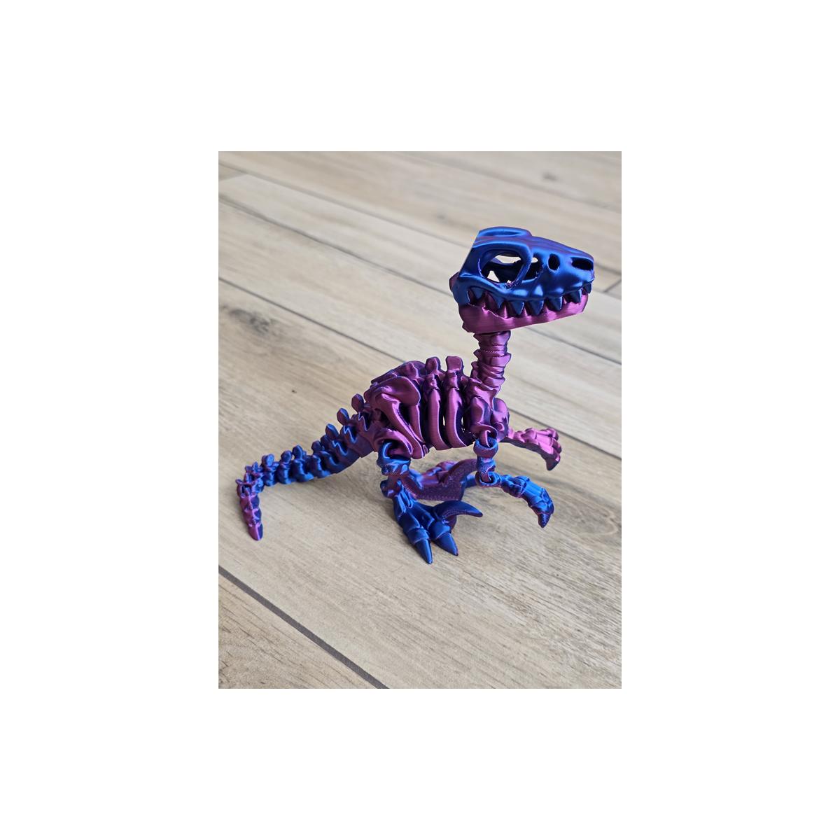 Szkielet Raptora 23cm - 3D Unikatowa Dekoracja! - Dwukolorowy Druk3d