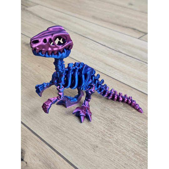 Szkielet Raptora 23cm - 3D Unikatowa Dekoracja! - Dwukolorowy Druk3d