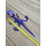 Szkielet Raptora 23cm - 3D Unikatowa Dekoracja! - Dwukolorowy Druk3d