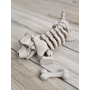 Figurka Szkielet Jamnika (18cm) + Gratisowa Kość! 3d - Brelok Druk3d fidget